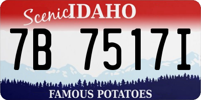 ID license plate 7B7517I