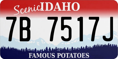 ID license plate 7B7517J