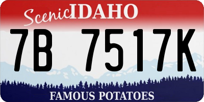 ID license plate 7B7517K