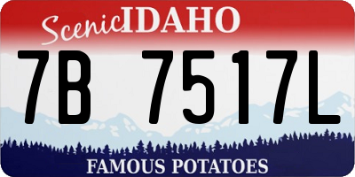 ID license plate 7B7517L