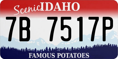 ID license plate 7B7517P