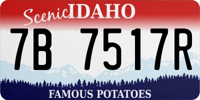 ID license plate 7B7517R