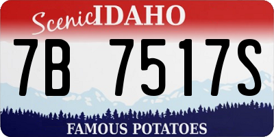 ID license plate 7B7517S