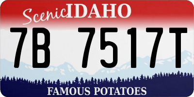 ID license plate 7B7517T