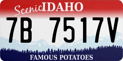 ID license plate 7B7517V