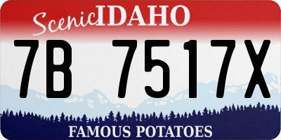 ID license plate 7B7517X