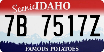 ID license plate 7B7517Z