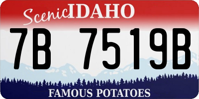 ID license plate 7B7519B