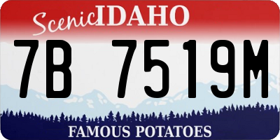 ID license plate 7B7519M