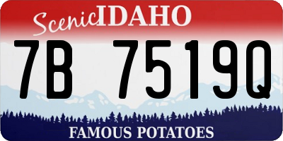 ID license plate 7B7519Q
