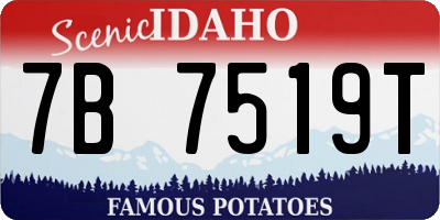 ID license plate 7B7519T
