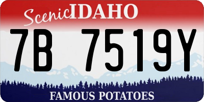 ID license plate 7B7519Y