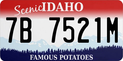 ID license plate 7B7521M
