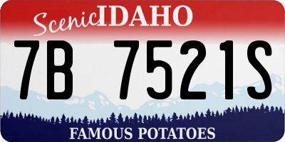 ID license plate 7B7521S