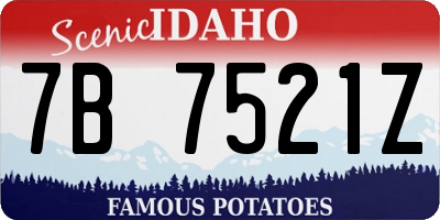 ID license plate 7B7521Z