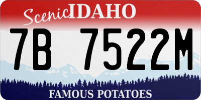 ID license plate 7B7522M