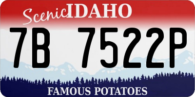 ID license plate 7B7522P