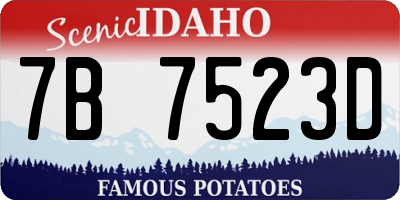 ID license plate 7B7523D