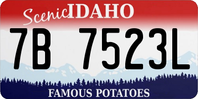 ID license plate 7B7523L