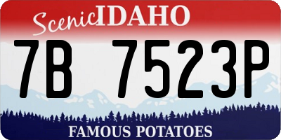 ID license plate 7B7523P