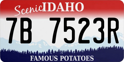 ID license plate 7B7523R