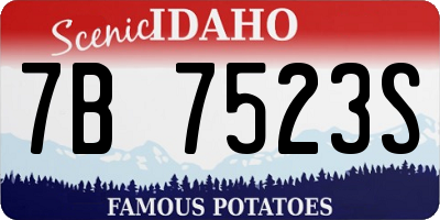 ID license plate 7B7523S