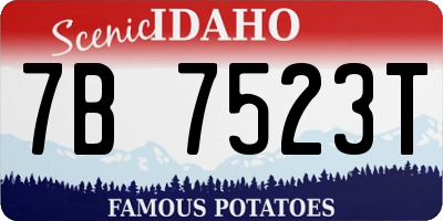 ID license plate 7B7523T