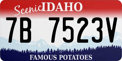 ID license plate 7B7523V