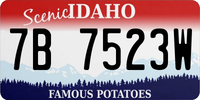ID license plate 7B7523W