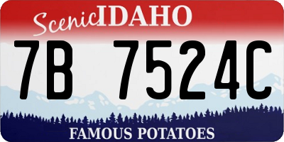 ID license plate 7B7524C