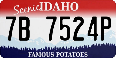ID license plate 7B7524P