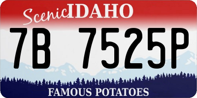 ID license plate 7B7525P