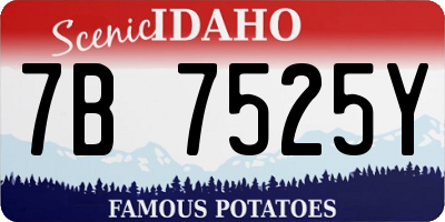 ID license plate 7B7525Y