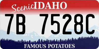 ID license plate 7B7528C