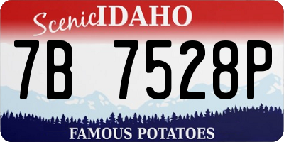 ID license plate 7B7528P