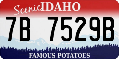 ID license plate 7B7529B