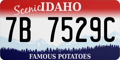 ID license plate 7B7529C