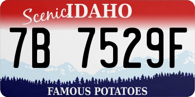 ID license plate 7B7529F