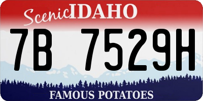 ID license plate 7B7529H