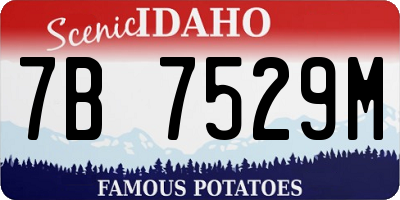 ID license plate 7B7529M