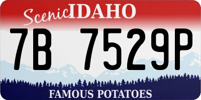 ID license plate 7B7529P