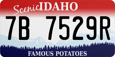 ID license plate 7B7529R