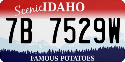 ID license plate 7B7529W