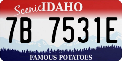 ID license plate 7B7531E