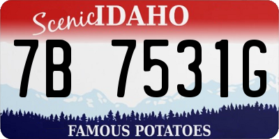 ID license plate 7B7531G