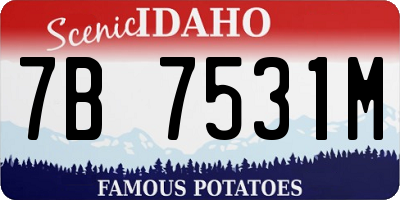 ID license plate 7B7531M