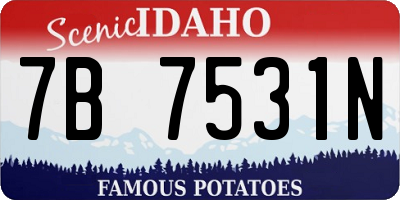 ID license plate 7B7531N