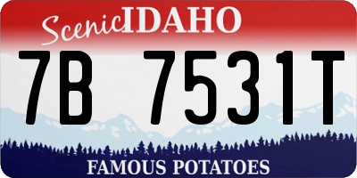 ID license plate 7B7531T