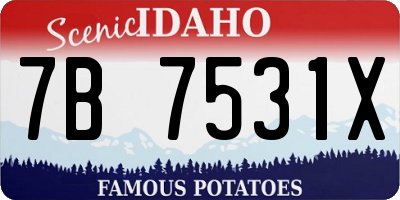 ID license plate 7B7531X