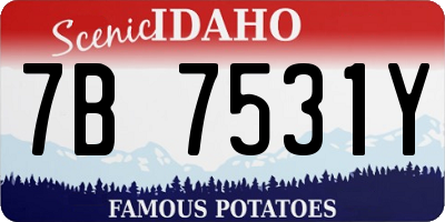 ID license plate 7B7531Y